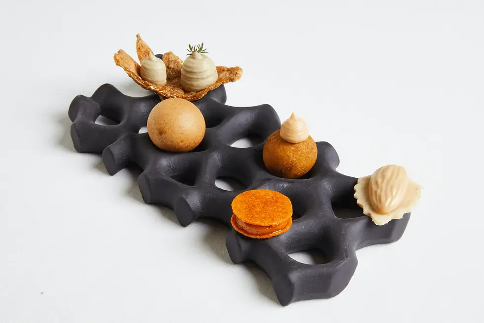 アルティルヒス コーラル 盛り付け例