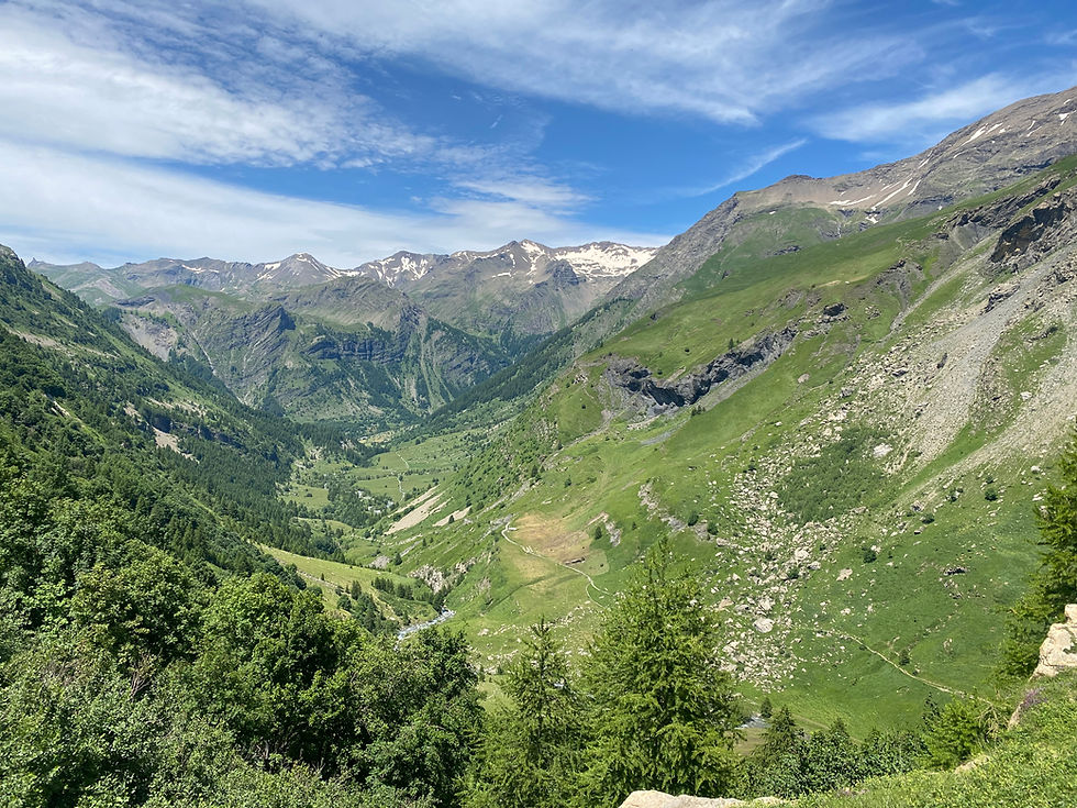 グランメゾン 皿