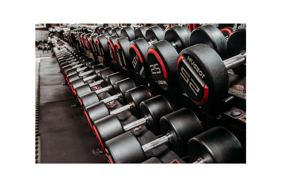 Strength dumbbell rack