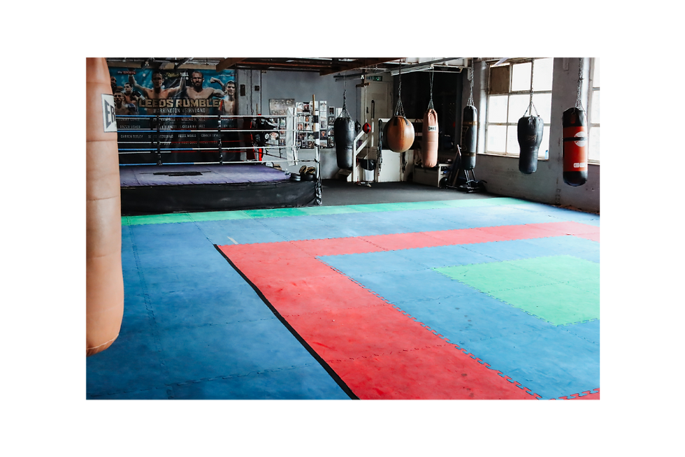 Boxing Gym and Ring