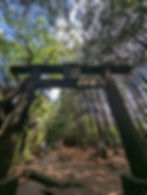 ree