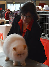 expo 13-02-2016 tou.jpg