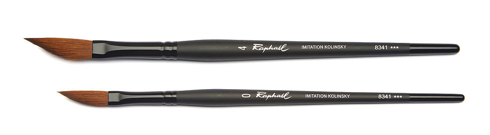 サムネイル： Raphael 8341
