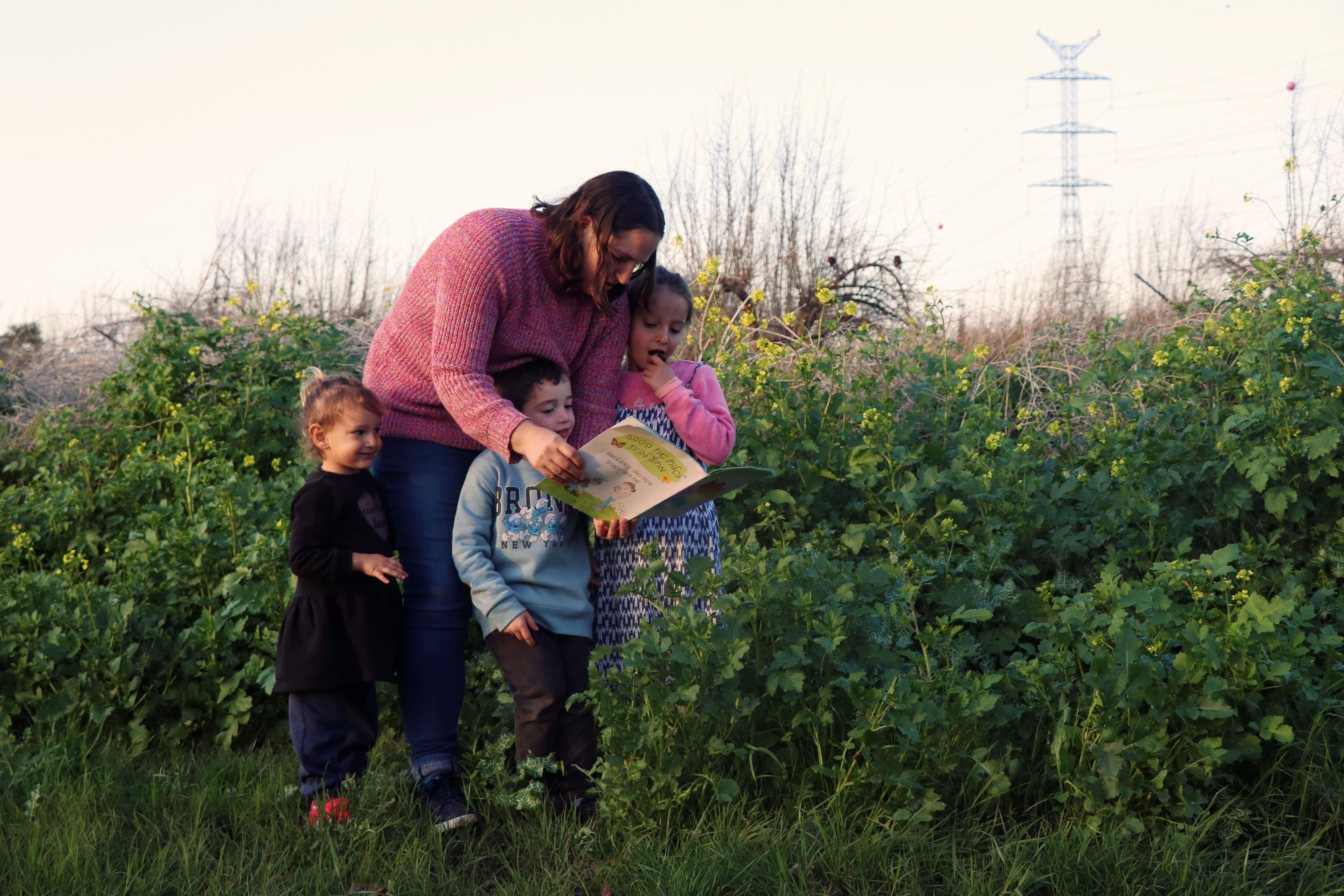מארז שנתי של לגלות את הטבע מחוץ לבית -כל 12 הגיליונות במשלוח אחד