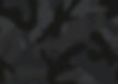 Earthey camo background_edited.jpg