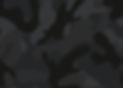 Earthey camo background_edited.jpg