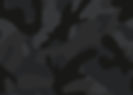 Earthey camo background_edited.jpg