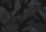 Earthey camo background_edited.jpg