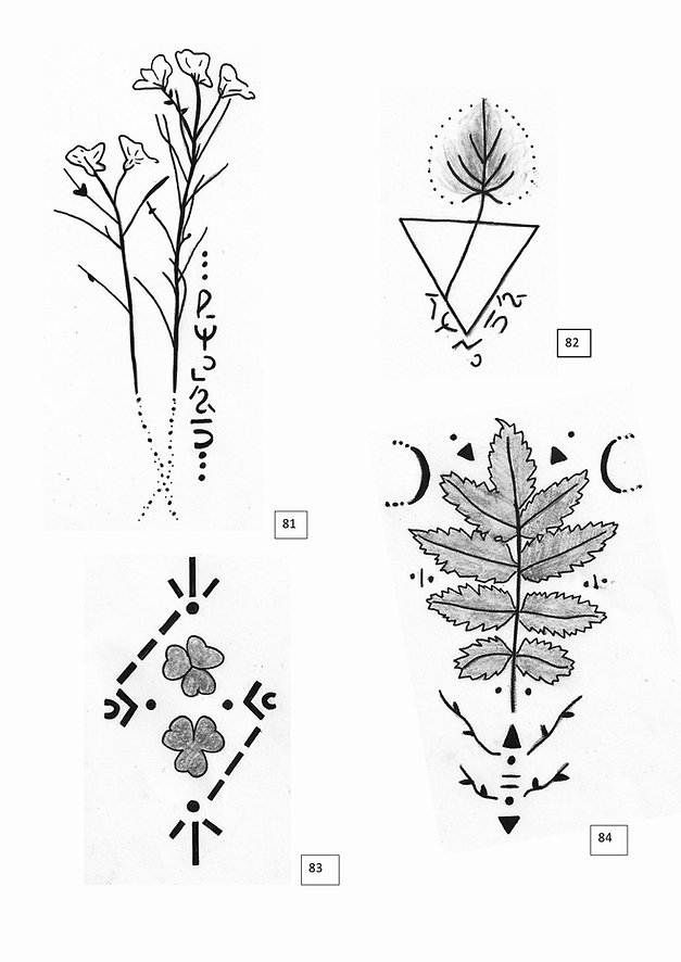 Nature brute 1 pdf.jpeg