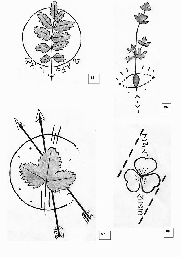 Nature brute 2 pdf.jpeg