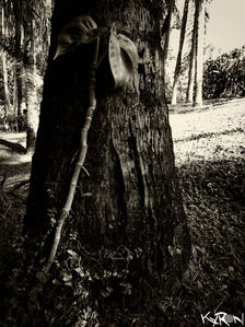 DSCN4837-EditResultadoResultado.jpg
