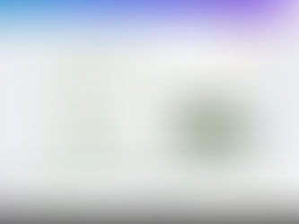 TWENTY FORTH MEETING