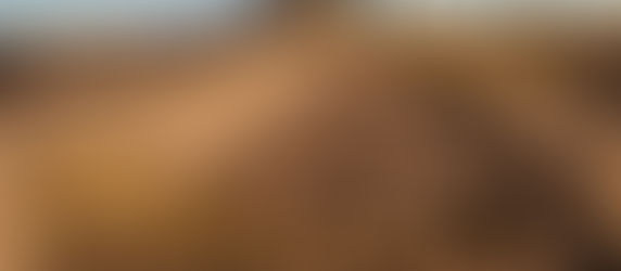 Biografi Ulama Hadits 9 : (Generasi Berikutnya : Orang-Orang yang berjalan dijalan mereka)