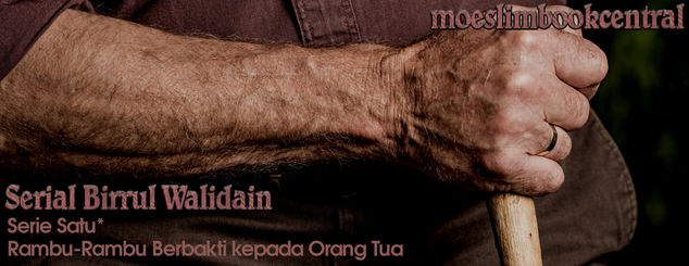 SERIAL BIRRUL WALIDAYN ( SERIAL 1 : BAG 1 )