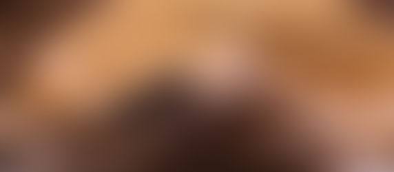 Biografi Ulama Hadits (Bagian 8 : Para Tabi'in)