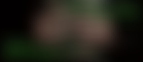 Biografi Ulama Hadits 1 : (Murid-Murid mereka)