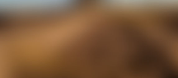 Biografi Ulama Hadits 12 : (Generasi Berikutnya : Orang-Orang yang berjalan dijalan mereka)