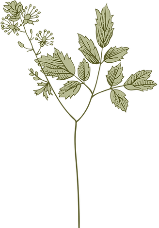 Botany
