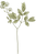Botanik