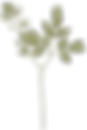 Botany