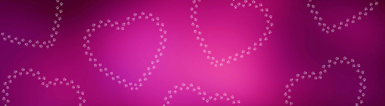 moncotondamour-header3.jpeg