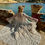 Miniaturbild: Boho Spitzen Kimono „Ibiza“