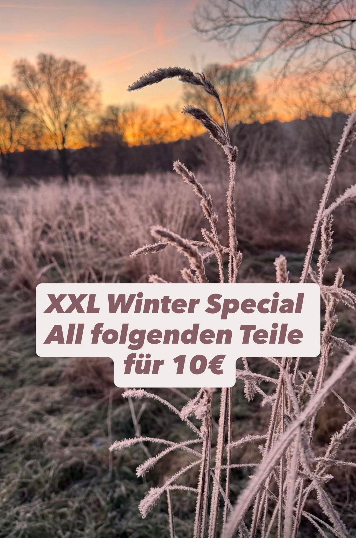 XXL Winter Sale! Jedes Teil nur 10€