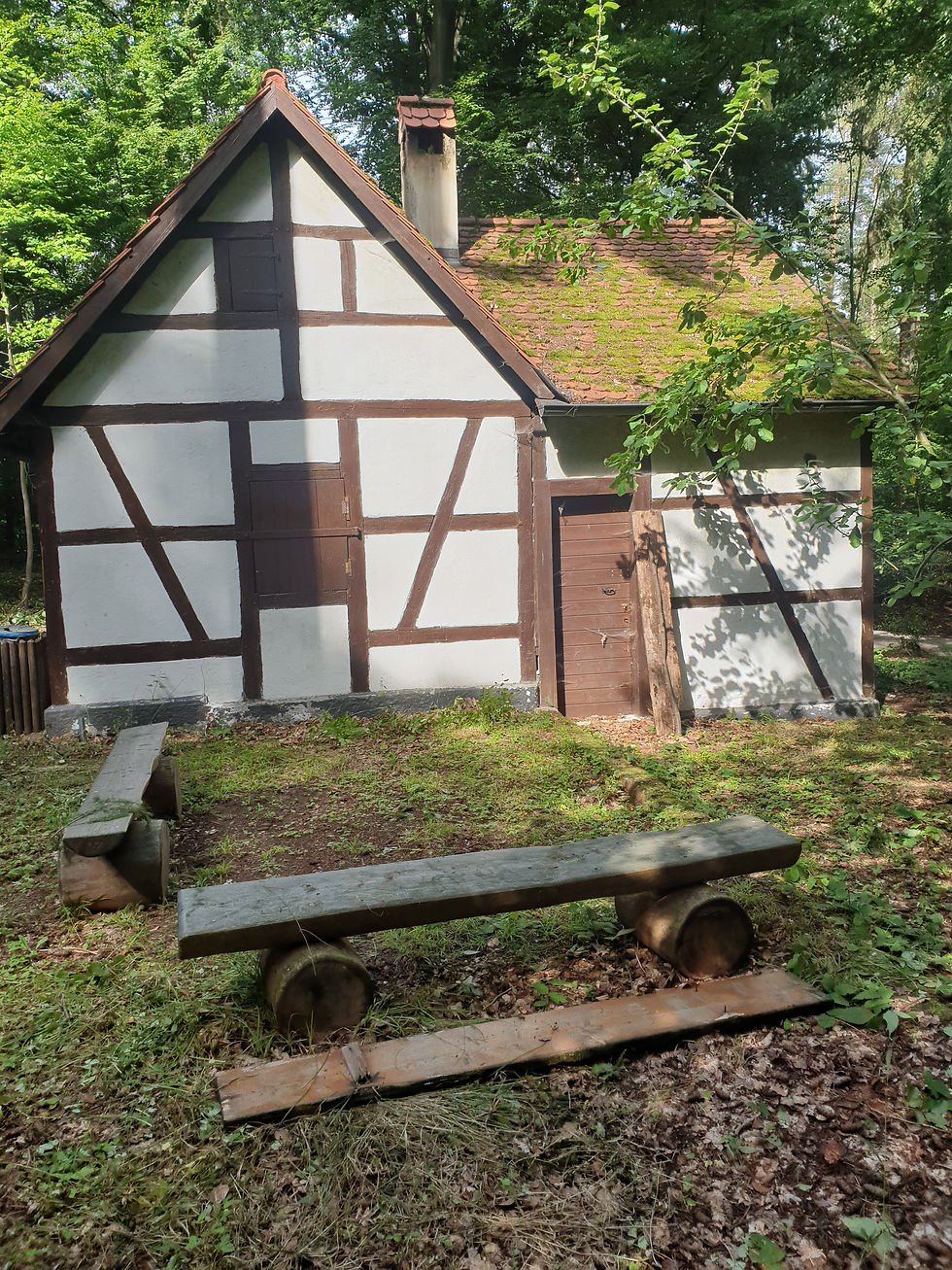 Forsthütte aktuell