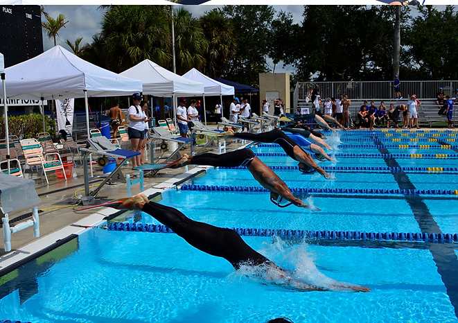 Finswimming_6_large.png