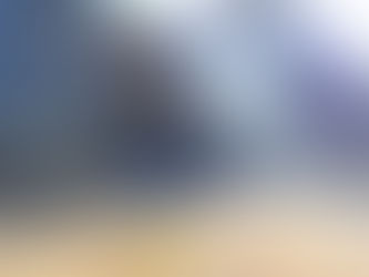 2026年3月17日(金)卒業して いったい何わかるというのか