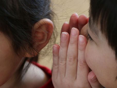 2026年3月13日(金)今週のしろがね日記