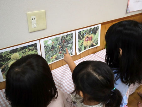 2022年9月27日(火)どんぐりころころ?(もも組)