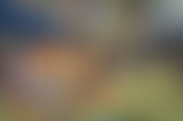 A gold pass for rugby pair