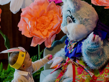 Spruce Easter Brunch