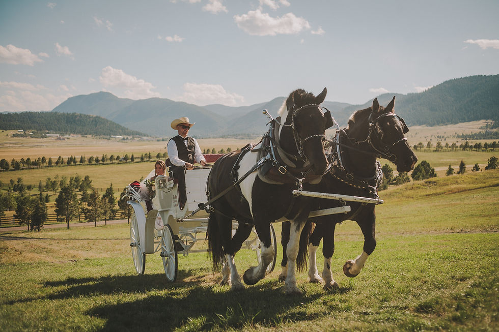 Photo Credit: Jessica Christie Photography