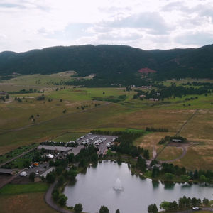 2025 Spruce Mountain Ranch Annual Cattle Sale: A True Colorado Celebration