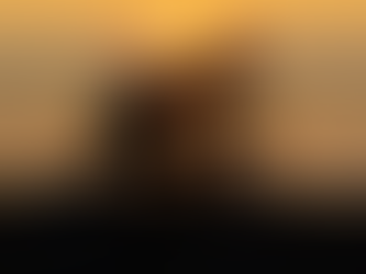 AmiSight 8/5: Beyond the Marathon: The Triathlon of Entrepreneurial Success