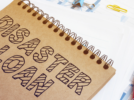 AmiSight 5/10: Borrowers in Default of Disaster Loans Face a Steep Collection Fee