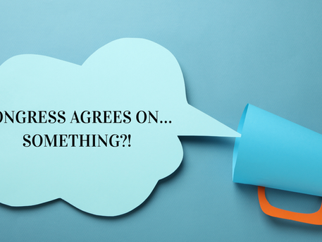 AmiSight 12/11: Congress Agrees on… Something?!