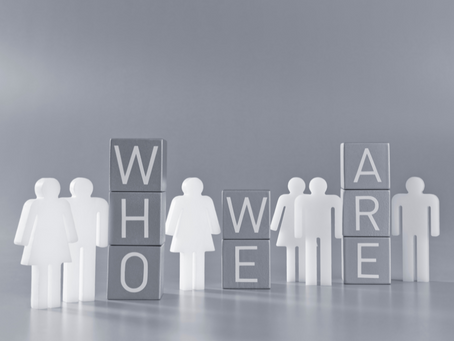 AmiSight 11/18: Plant Your Flag on Firm Ground