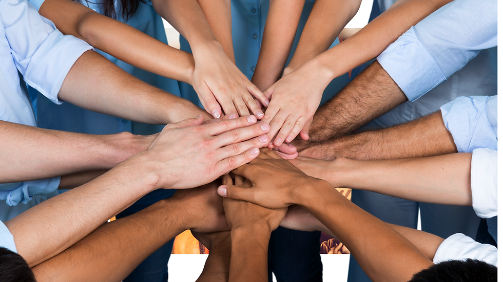 AmiSight 12/3: Building Culture Beyond the Office