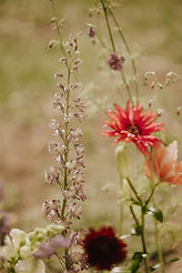 JonAmandaWedding-17.jpg