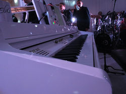 IMG_7599.JPG