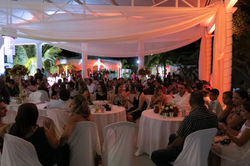IMG_7892.JPG