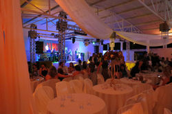 IMG_7848.JPG