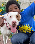 foster3.jpg