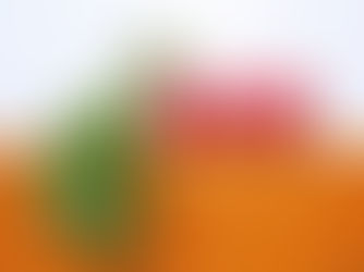 DIETA VEGANA : PROS Y CONTRAS