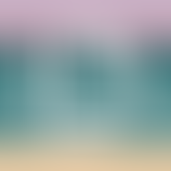 Search Trade Register number and other details in the Crossroads Bank for Enterprises