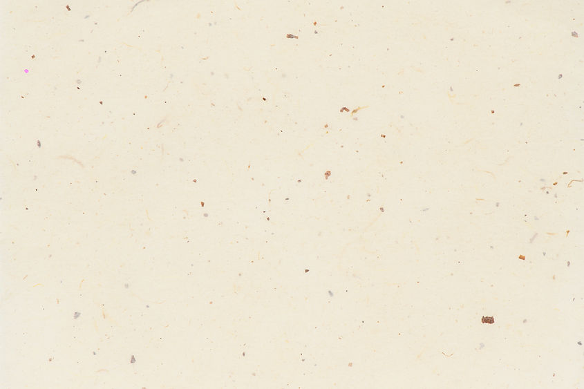 plain-beige-background-texture.jpg