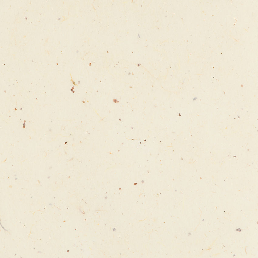 blank-beige-background-text-space.jpg